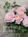 Vintage Roses with gorgeous photos by Georgianna Lane