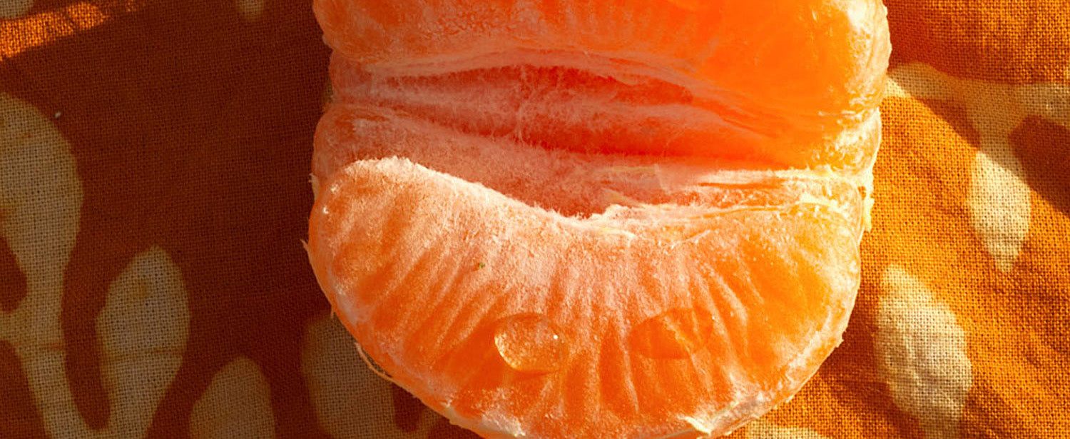 Spotlight on Marmalade Grove Citrus