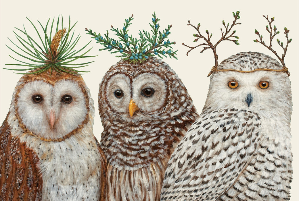 Winter Owls Placemats