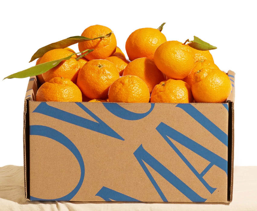 Satsuma Mandarins