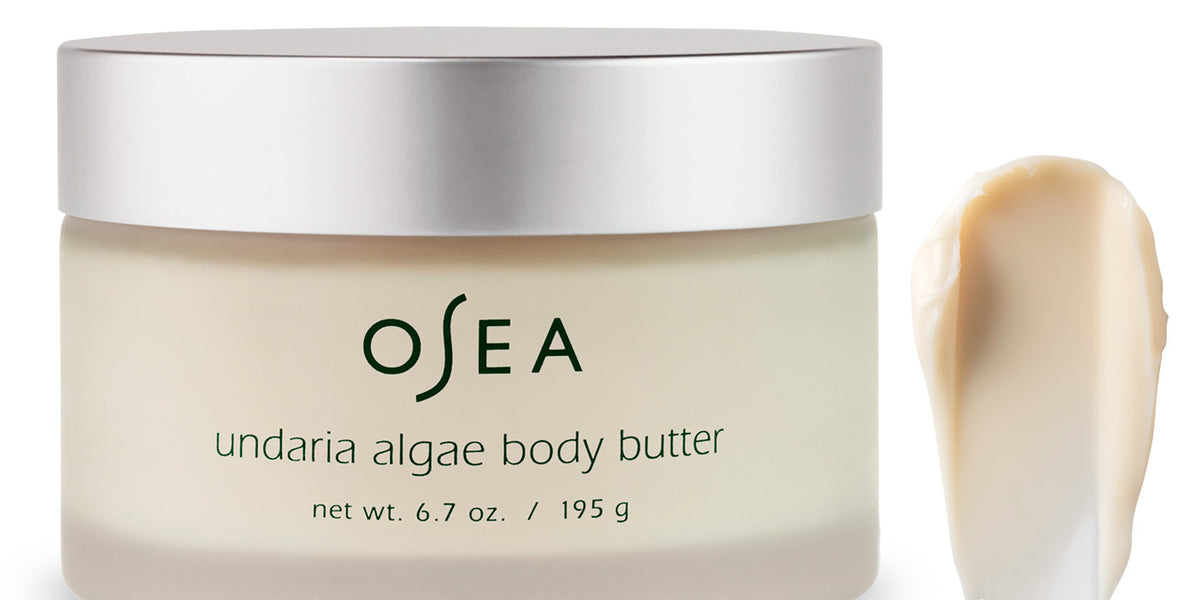 Undaria Algae Body Butter main image 1