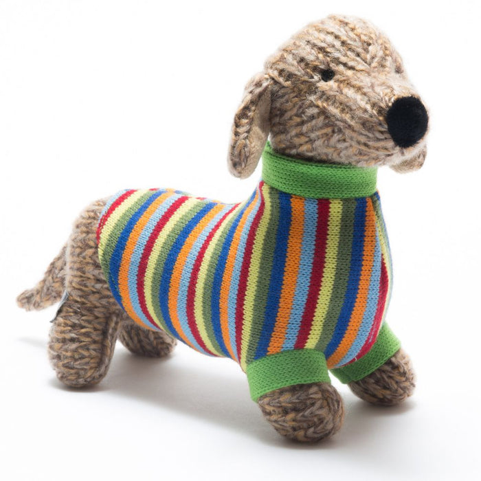 Dachsund in a Knitted Jumper