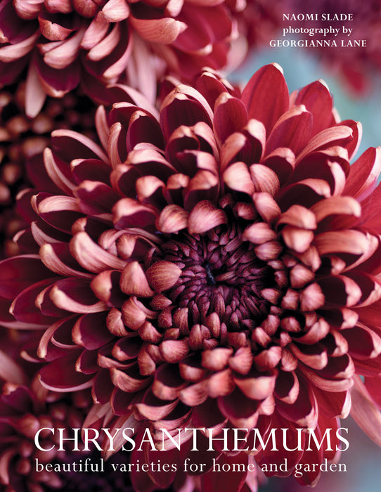 Chrysanthemums