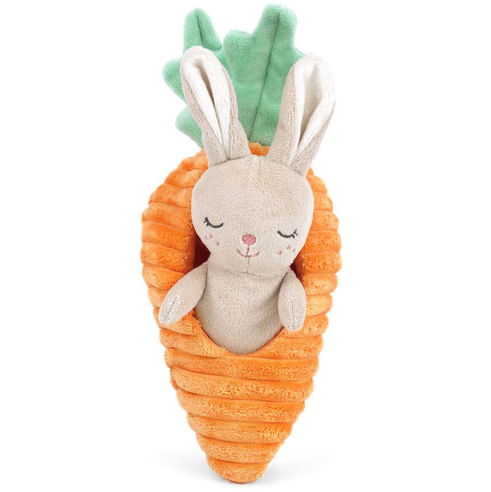 Bunny in a Carrot