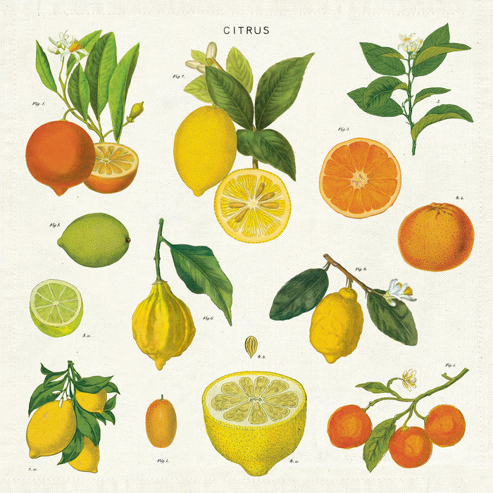 Citrus Napkins - Set of Four
