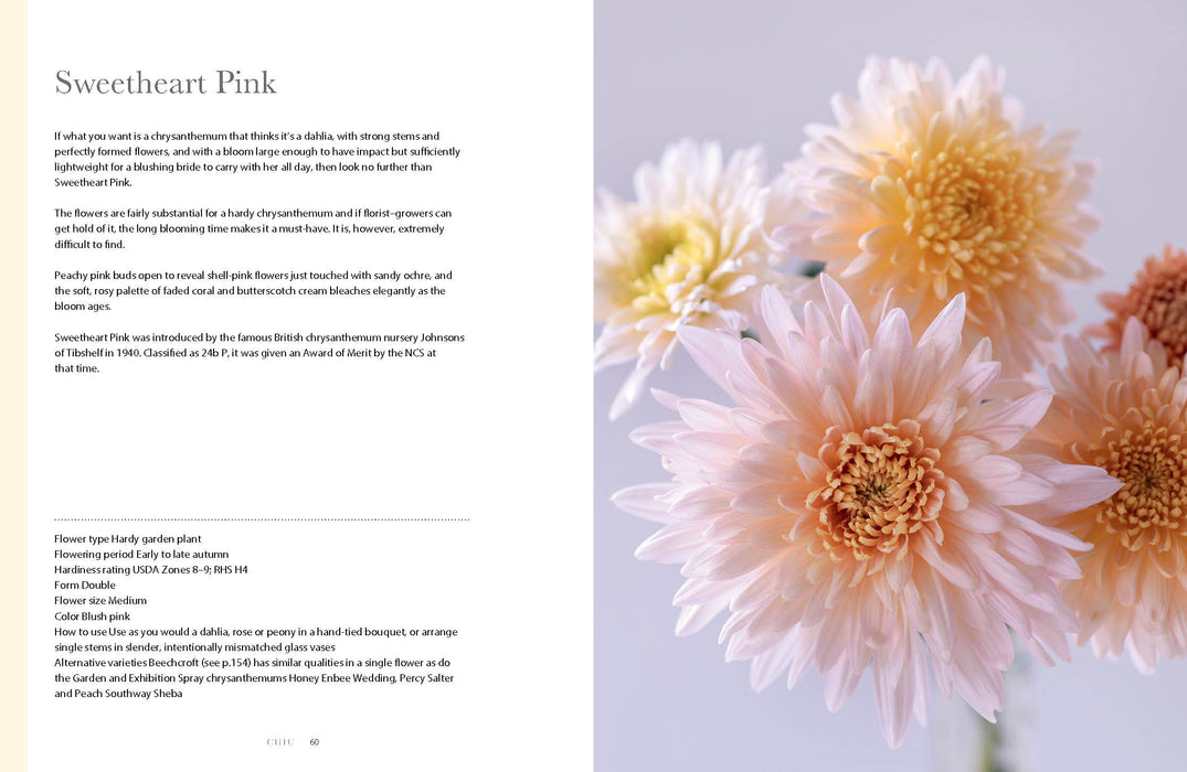Chrysanthemums