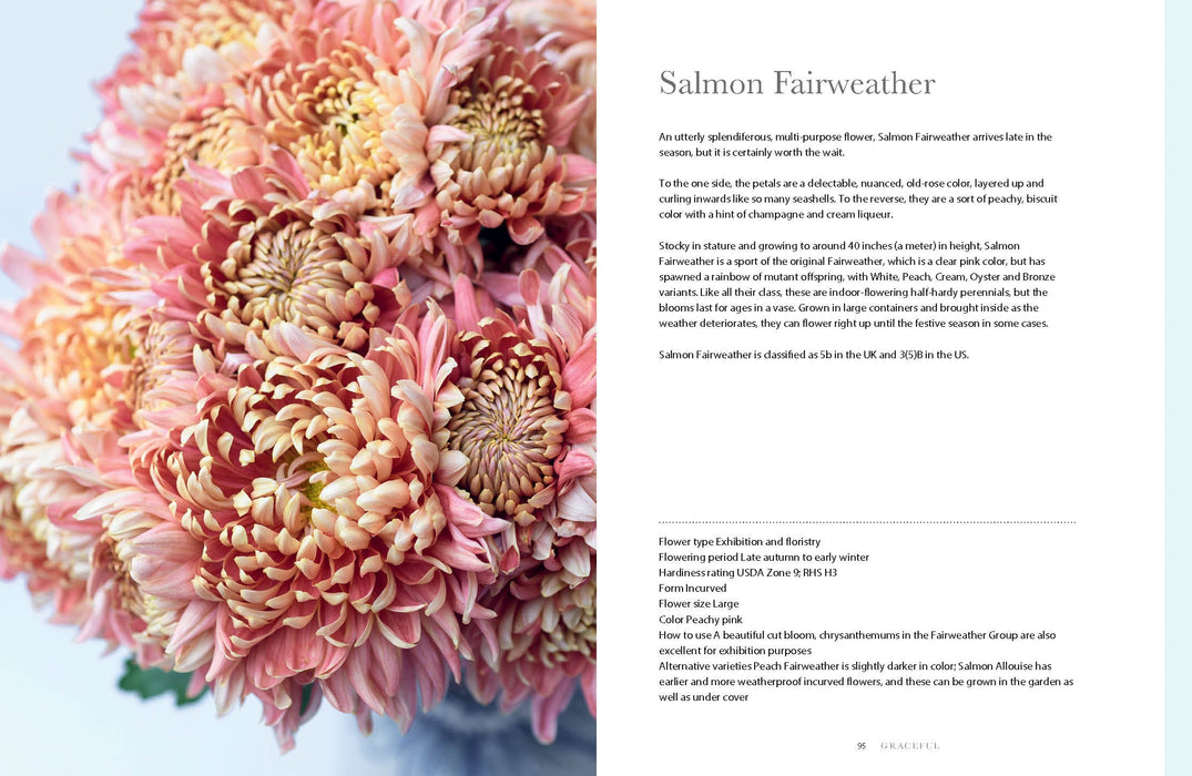 Chrysanthemums