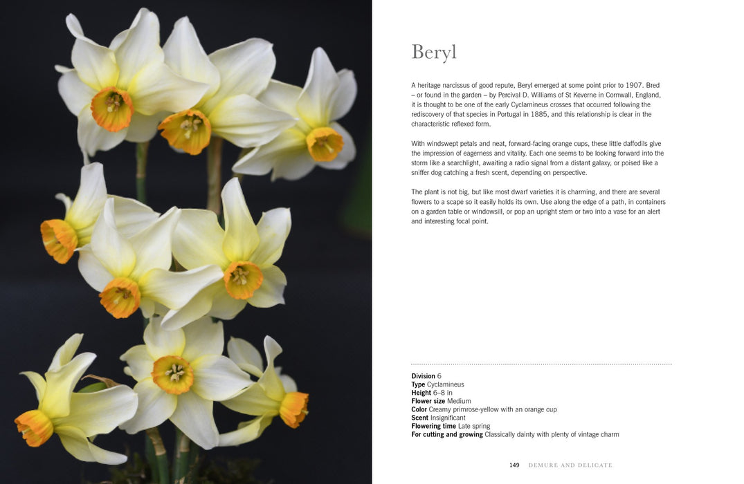 Daffodils Book