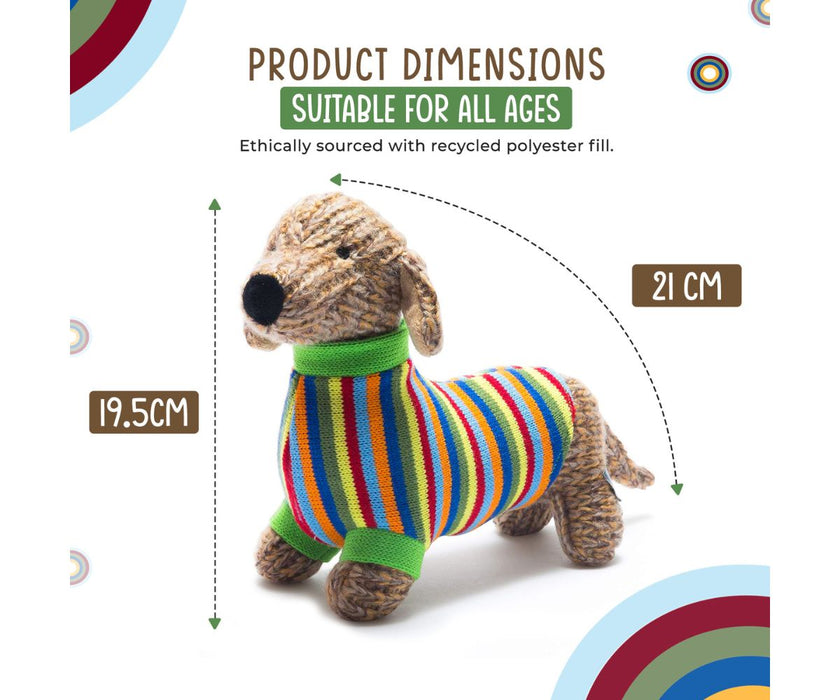 Dachsund in a Knitted Jumper