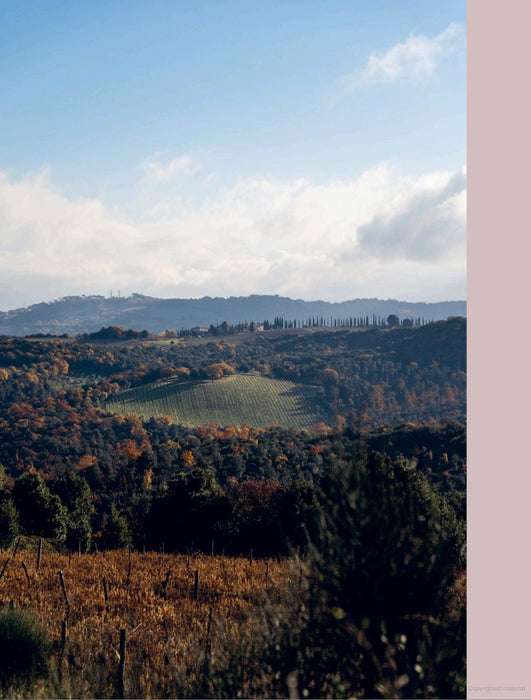 Winter in Tuscany by Amber Guinness