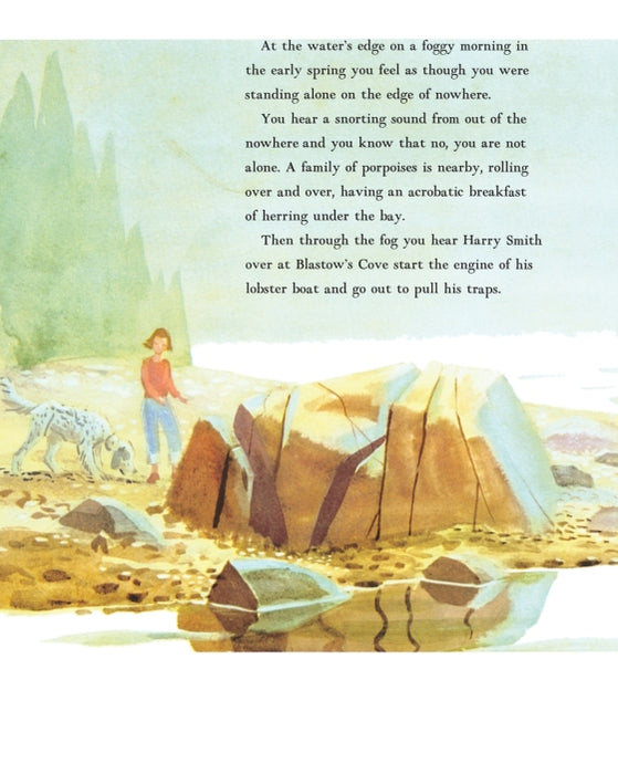 Time of Wonder - Hardcover