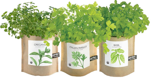 Garden In A Bag - Set of Basil, Oregano, and Parsley
