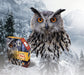 I Am Owl Puzzle with box