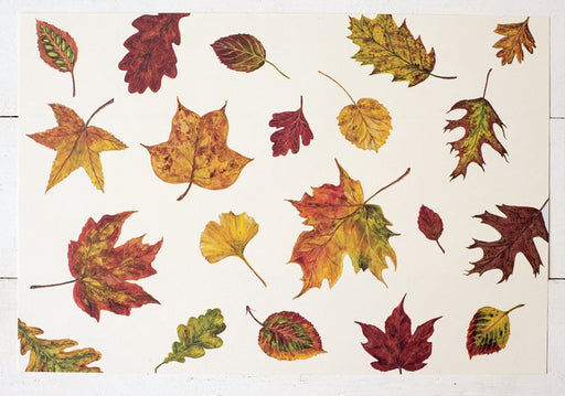 Fall Foliage Paper Placemats