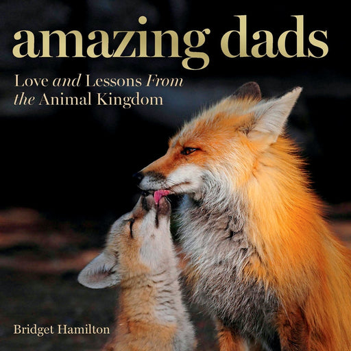 Amazing Dads By Bridget Hamilton