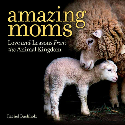 Amazing Moms, Love and Lessons from the Animal Kingdom