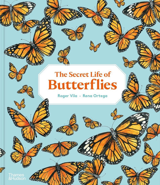 The Secret Life of Butterflies book